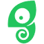 chameleon logo