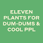 eleven-plants-for-dum-dums-amp-cool-ppl logo