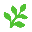 fern logo