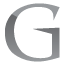 gemvision logo