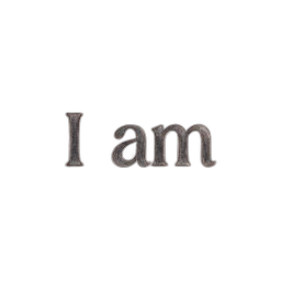 iam logo