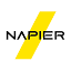 napier-ai logo