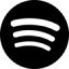 spotify-ad-analytics logo
