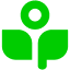 sprout-ai logo