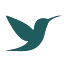 teal-health logo
