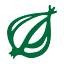 the-onion logo