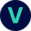 vivan-therapeutics logo
