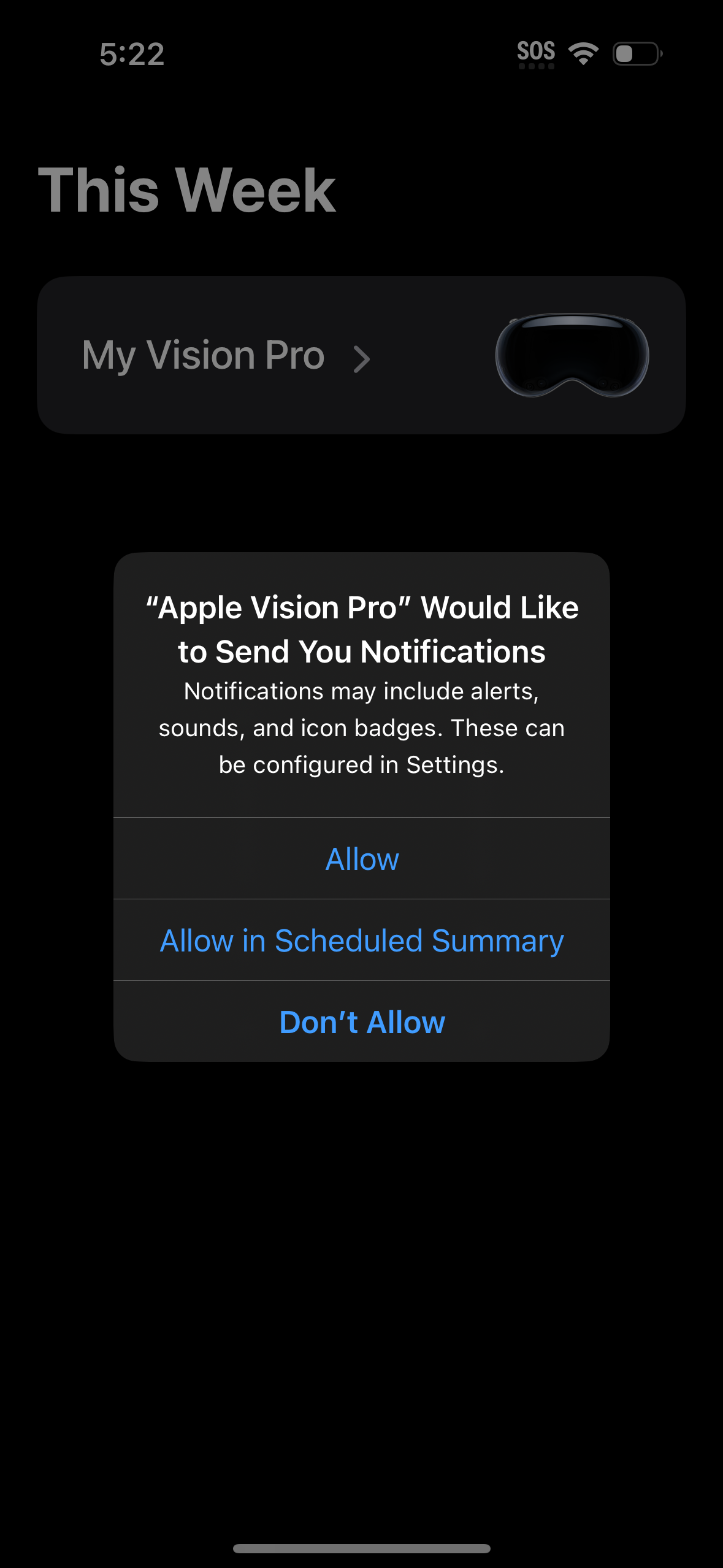 apple-vision-pro app screenshot 9