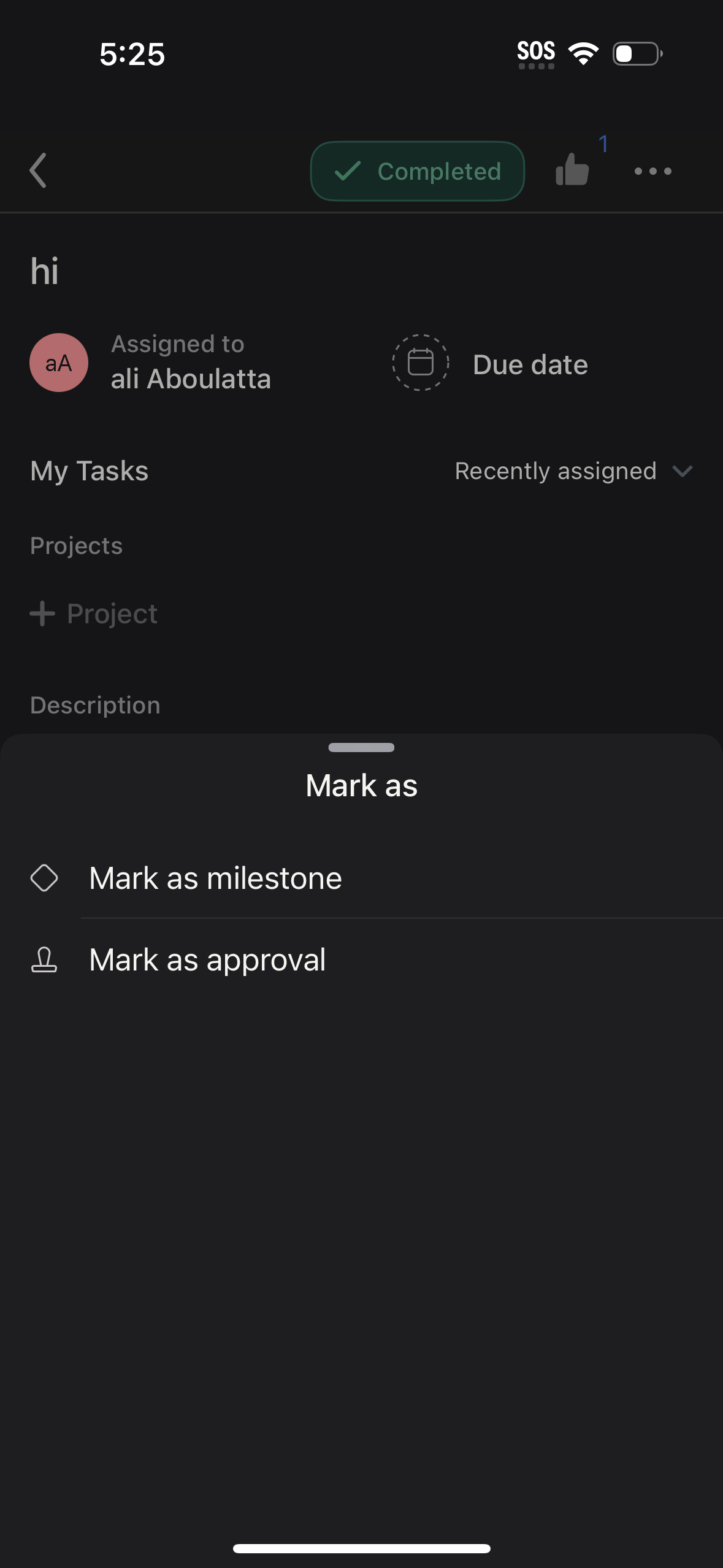 asana app screenshot 25