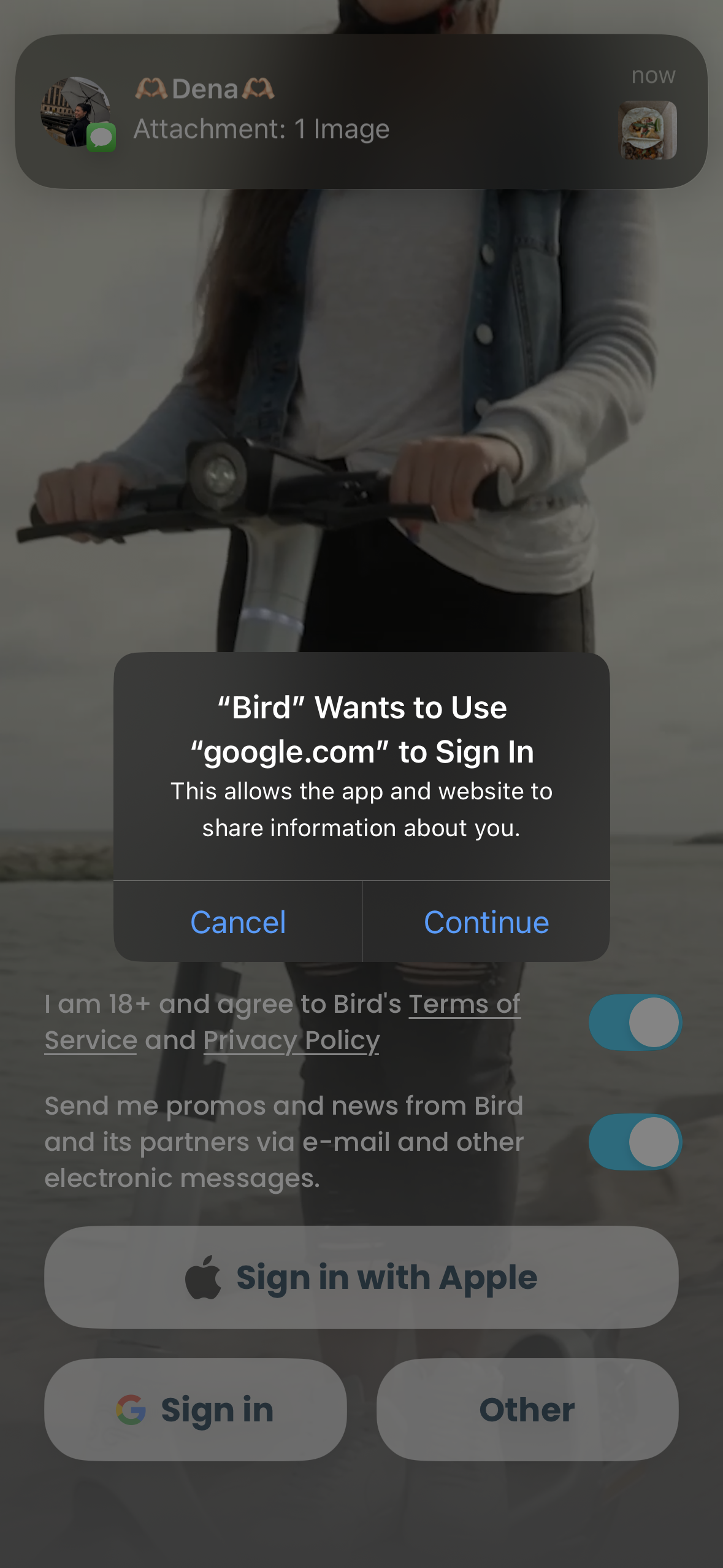 bird app screenshot 33