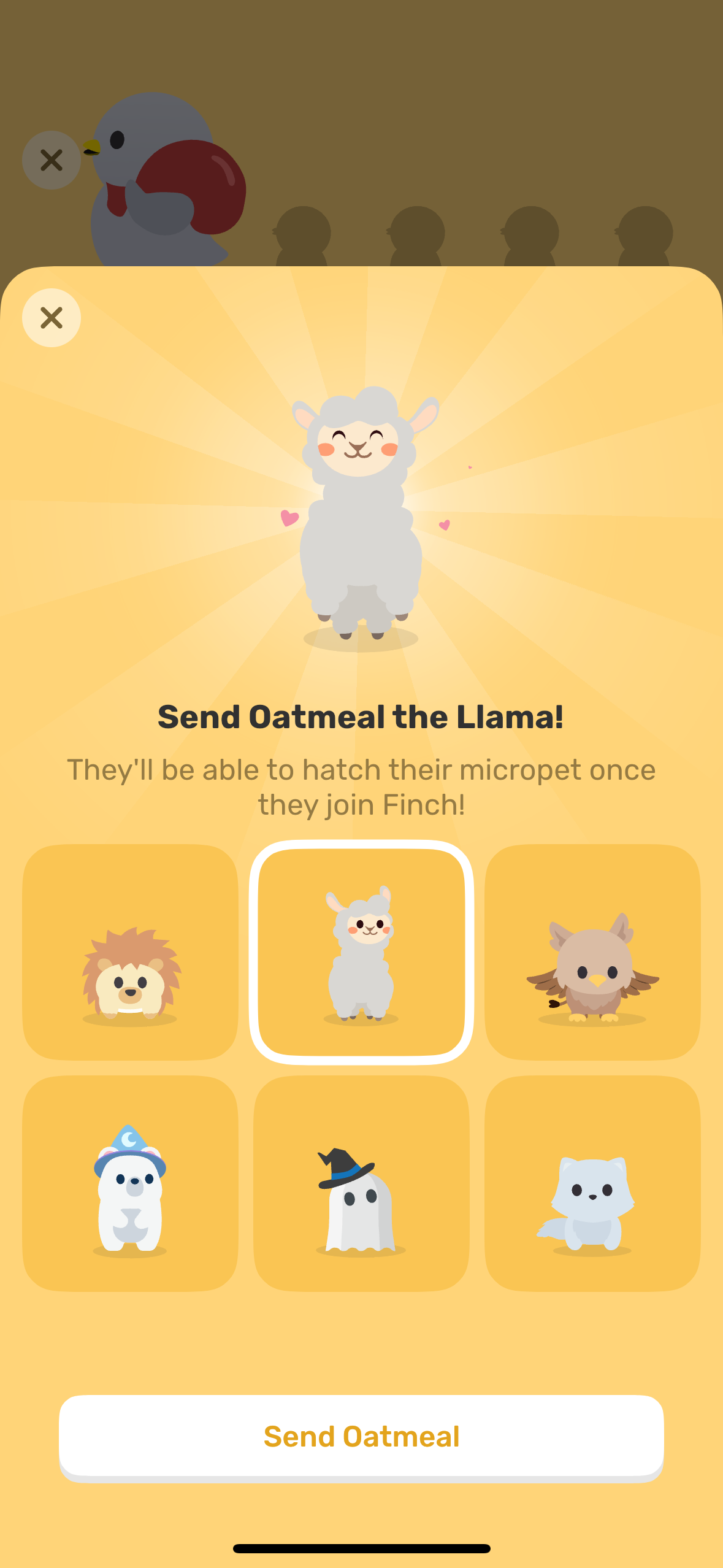 finch app screenshot 82