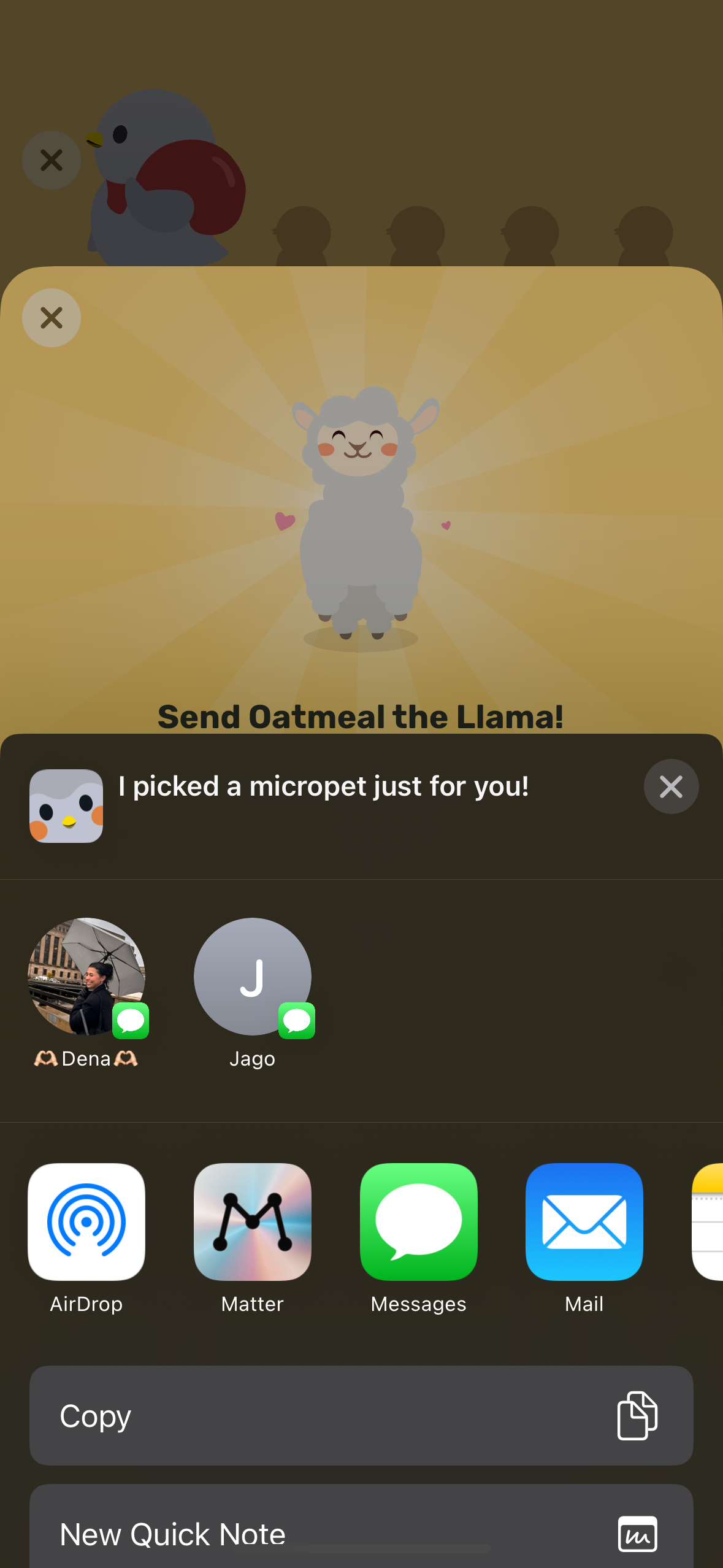 finch app screenshot 83