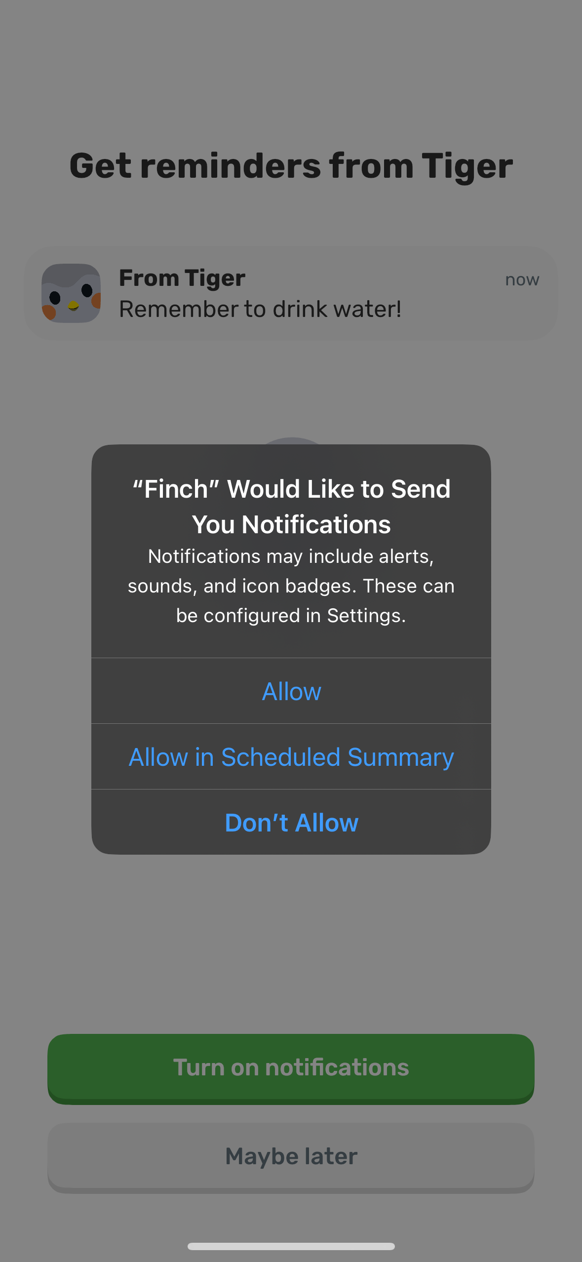 finch app screenshot 138