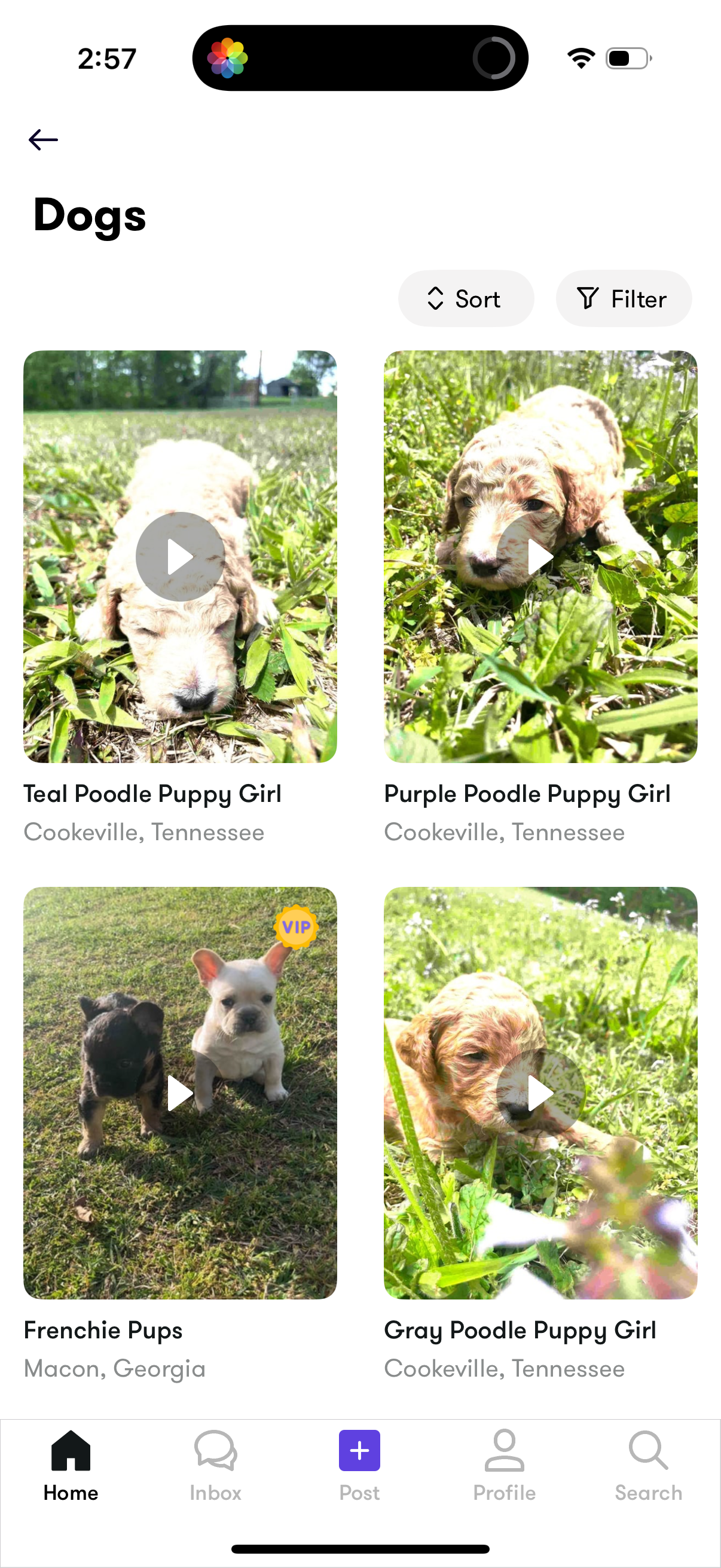 camlist app screenshot 15