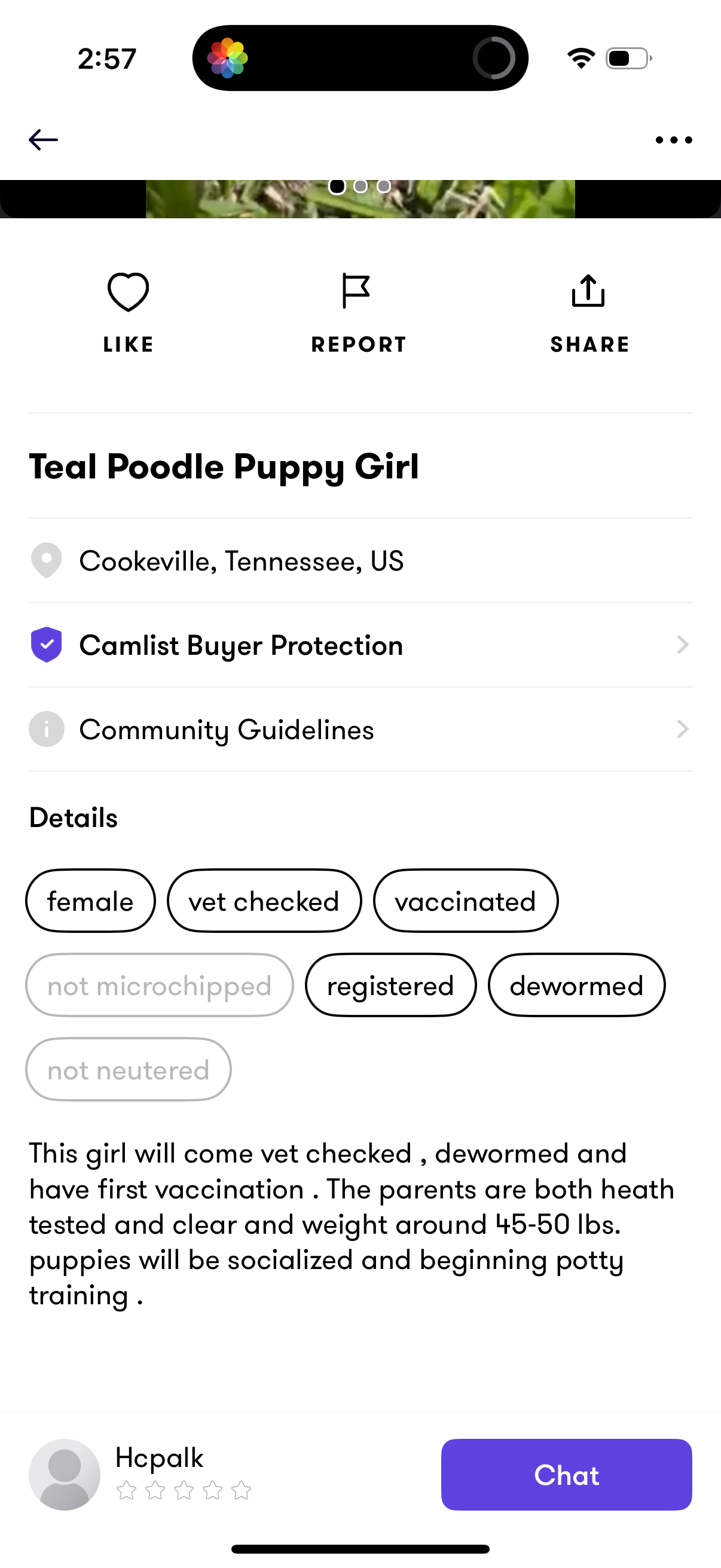 camlist app screenshot 14