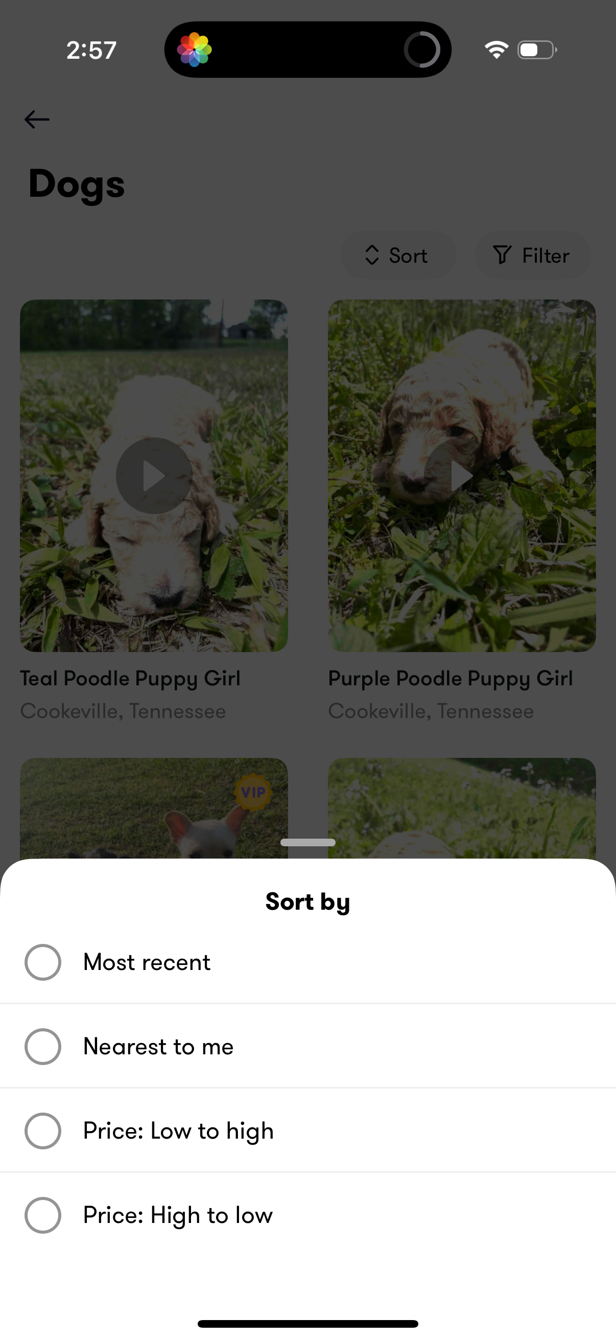 camlist app screenshot 13