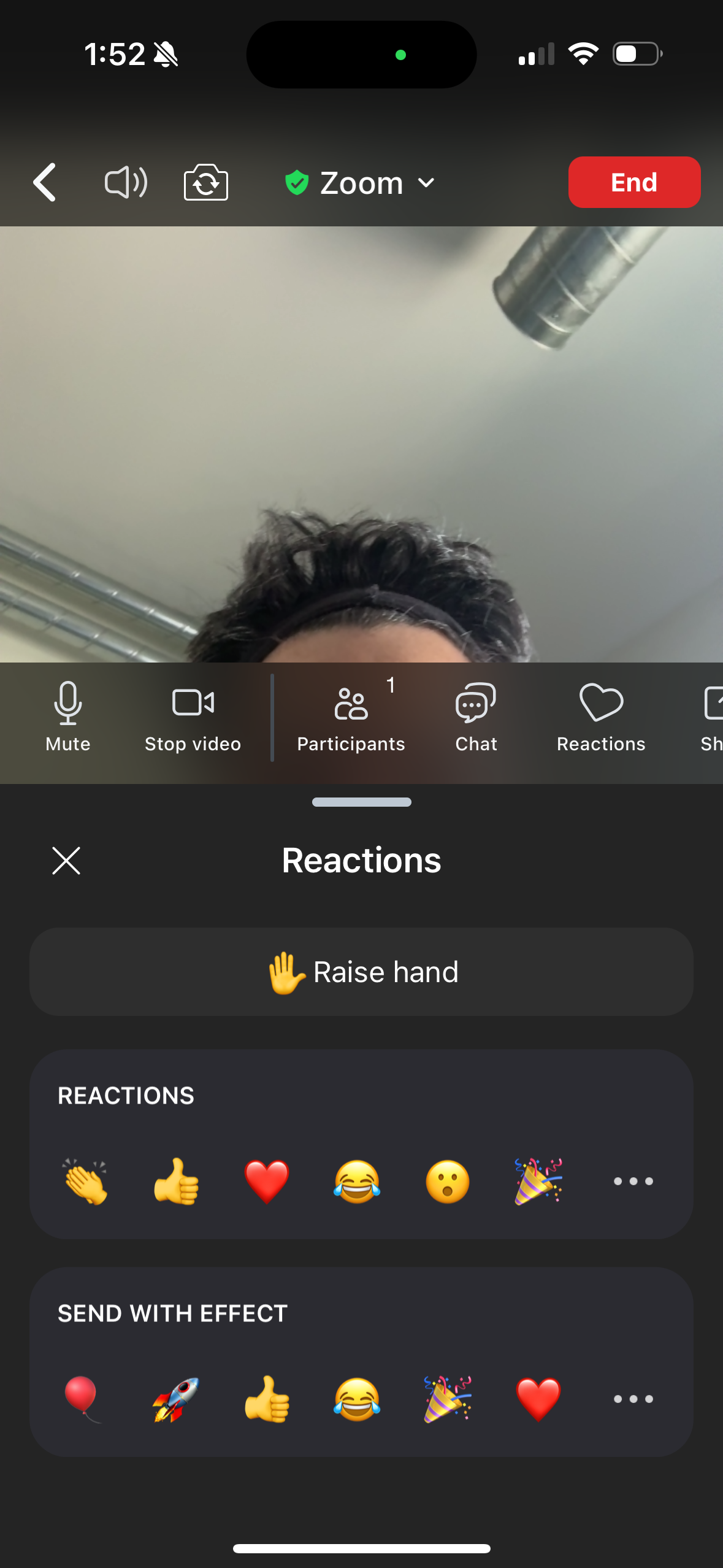 zoom app screenshot 87