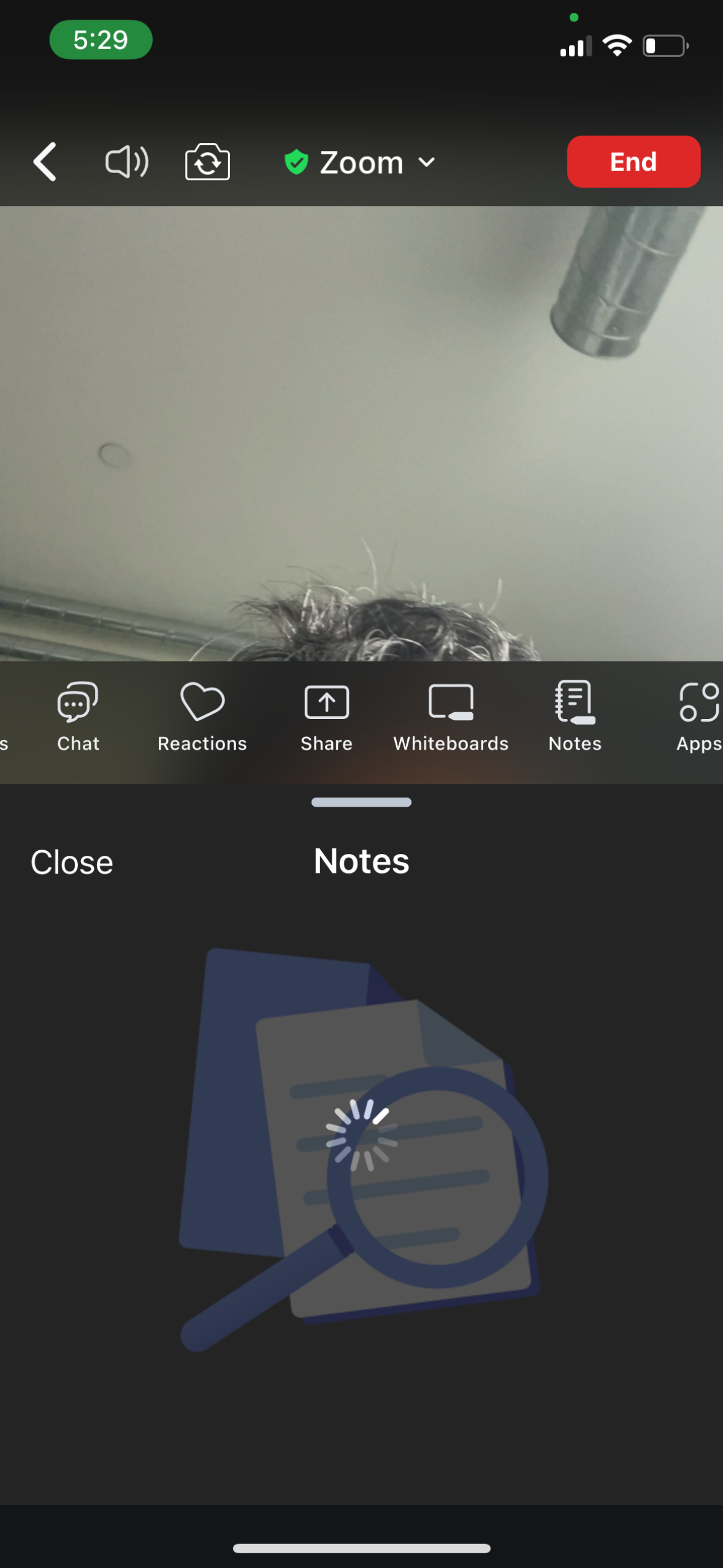 zoom app screenshot 81