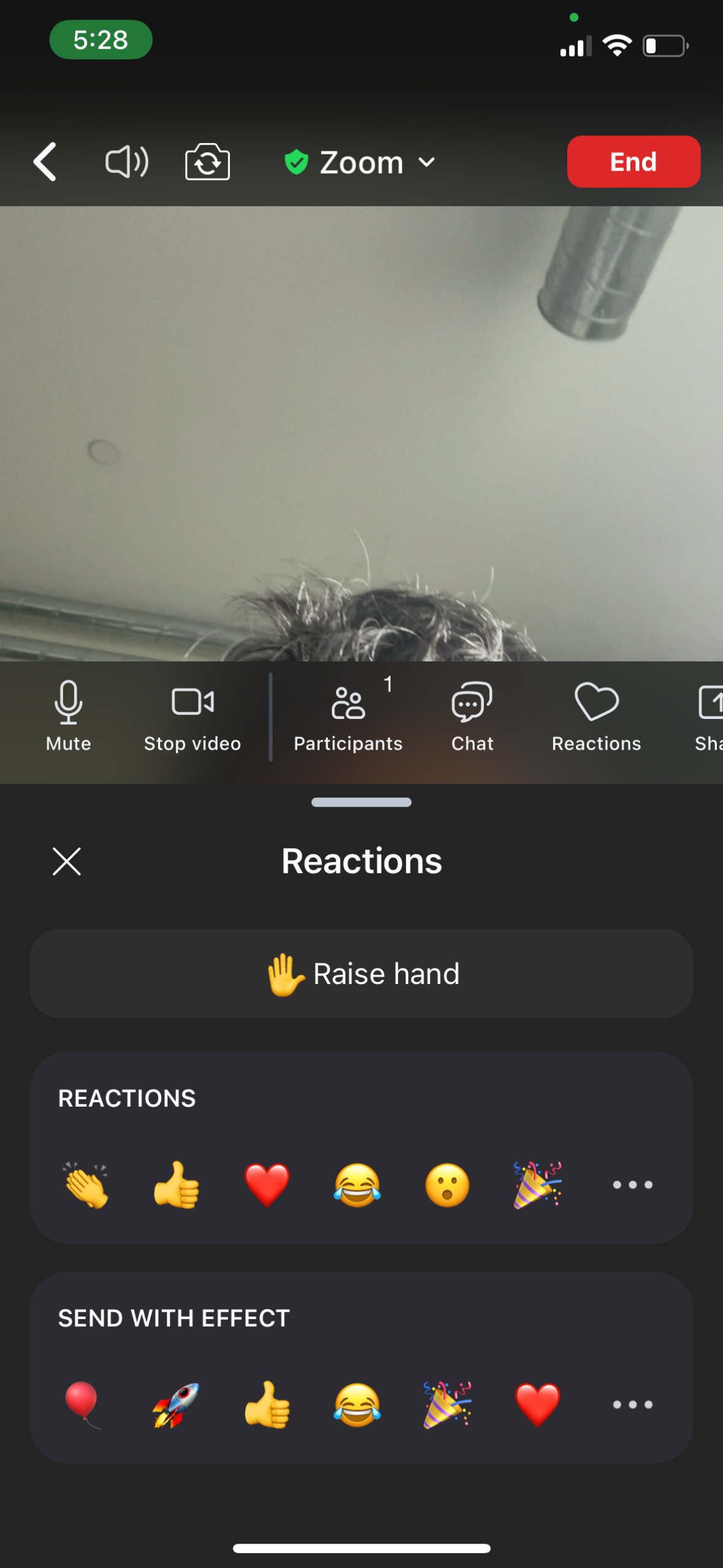 zoom app screenshot 79