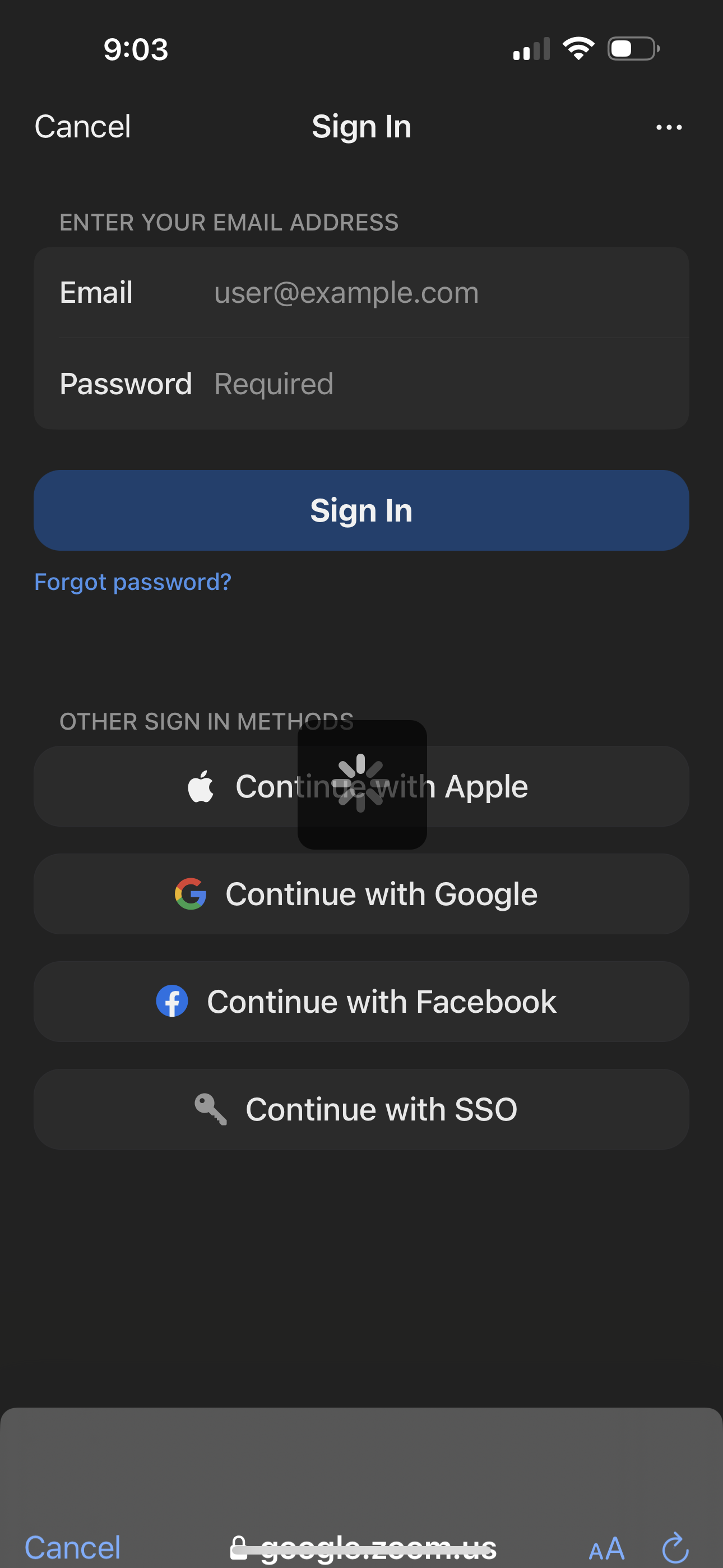 zoom app screenshot 209