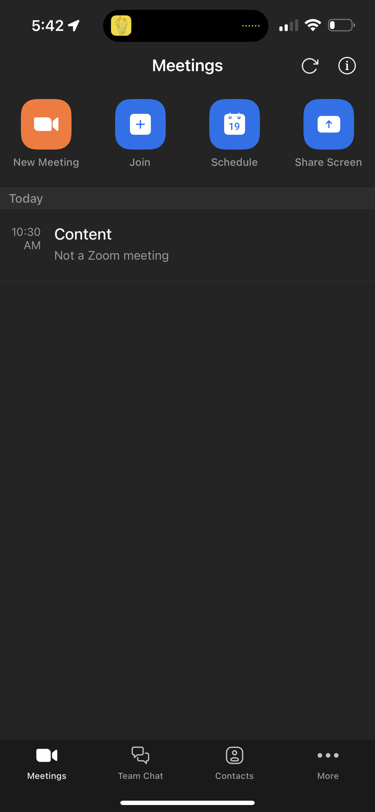 zoom app screenshot 184