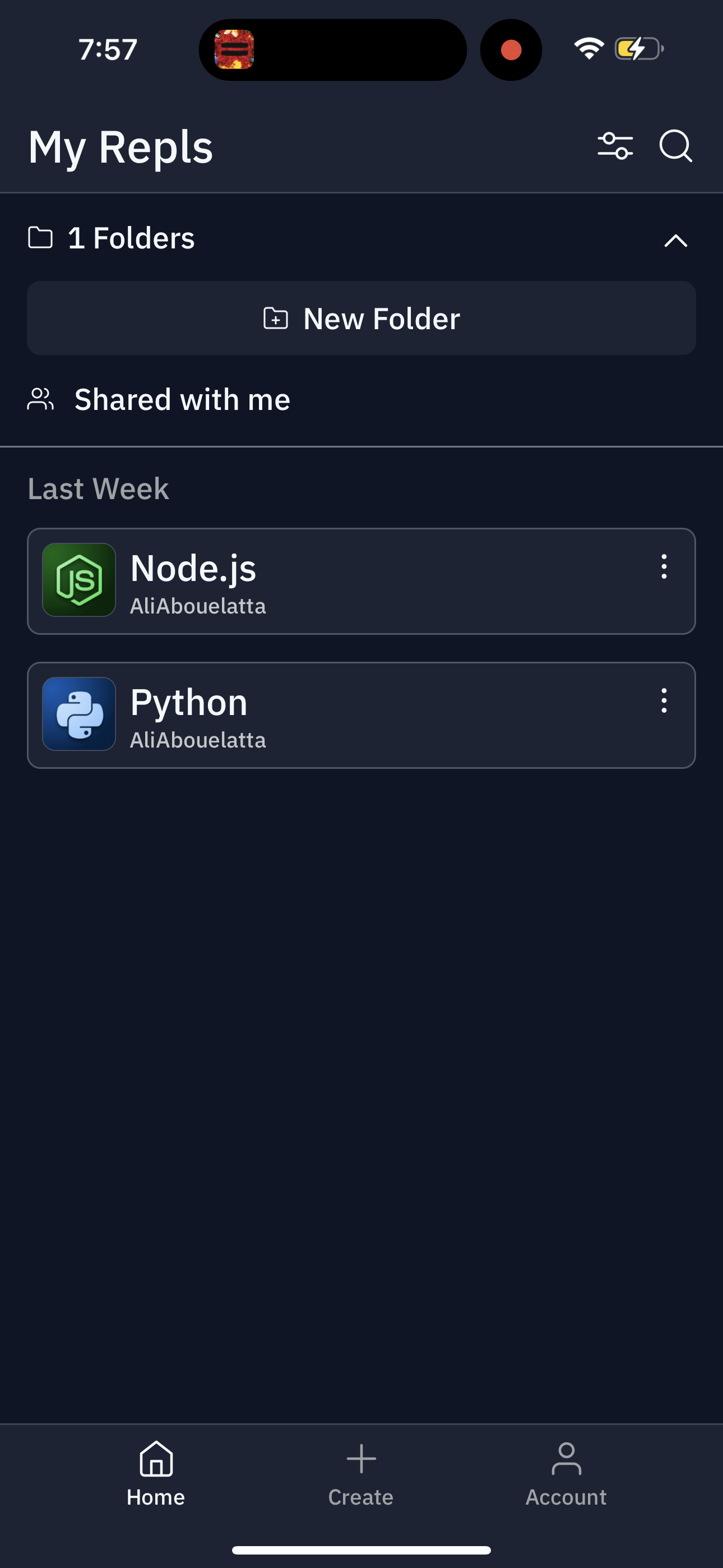 replit app screenshot 132
