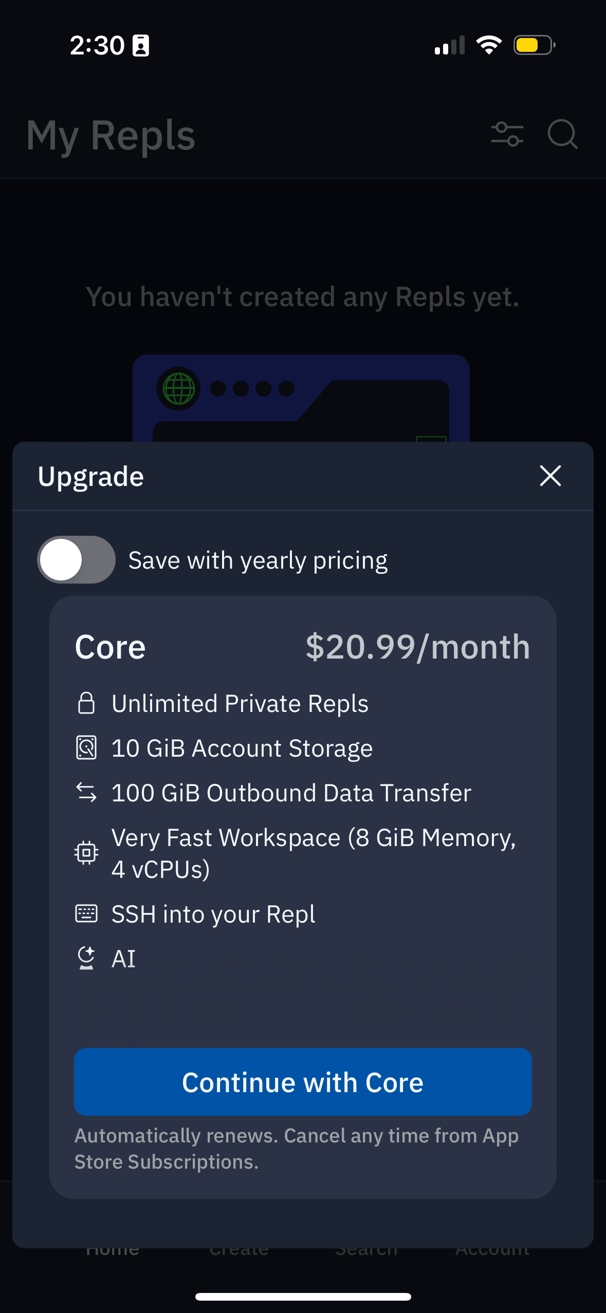replit app screenshot 81