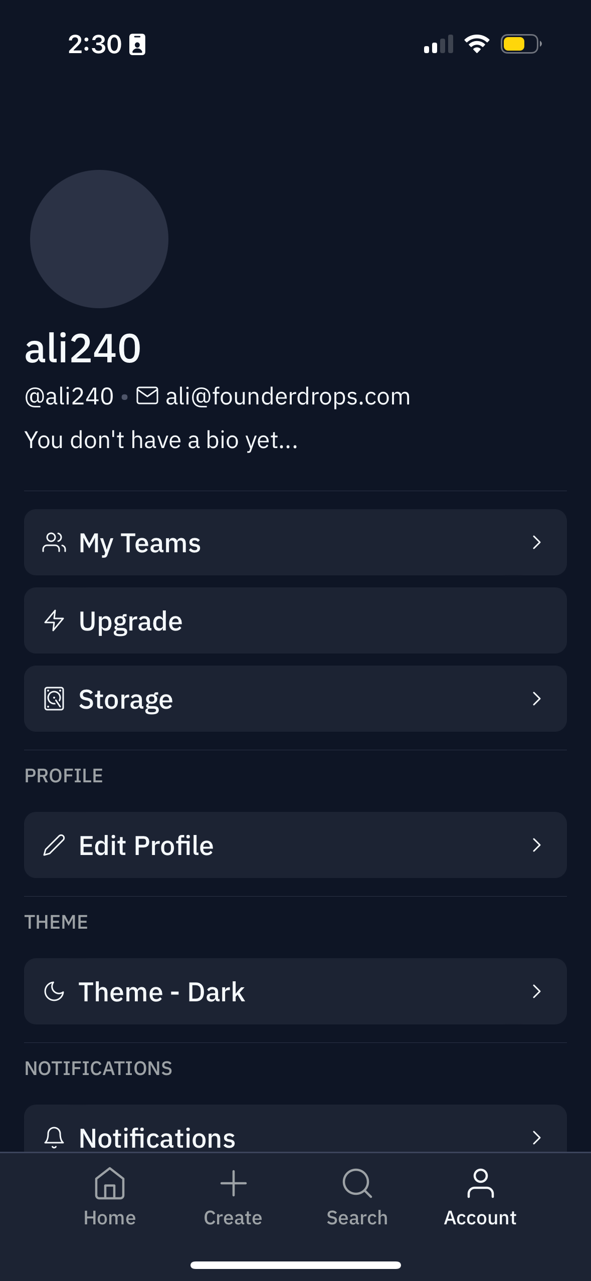 replit app screenshot 79