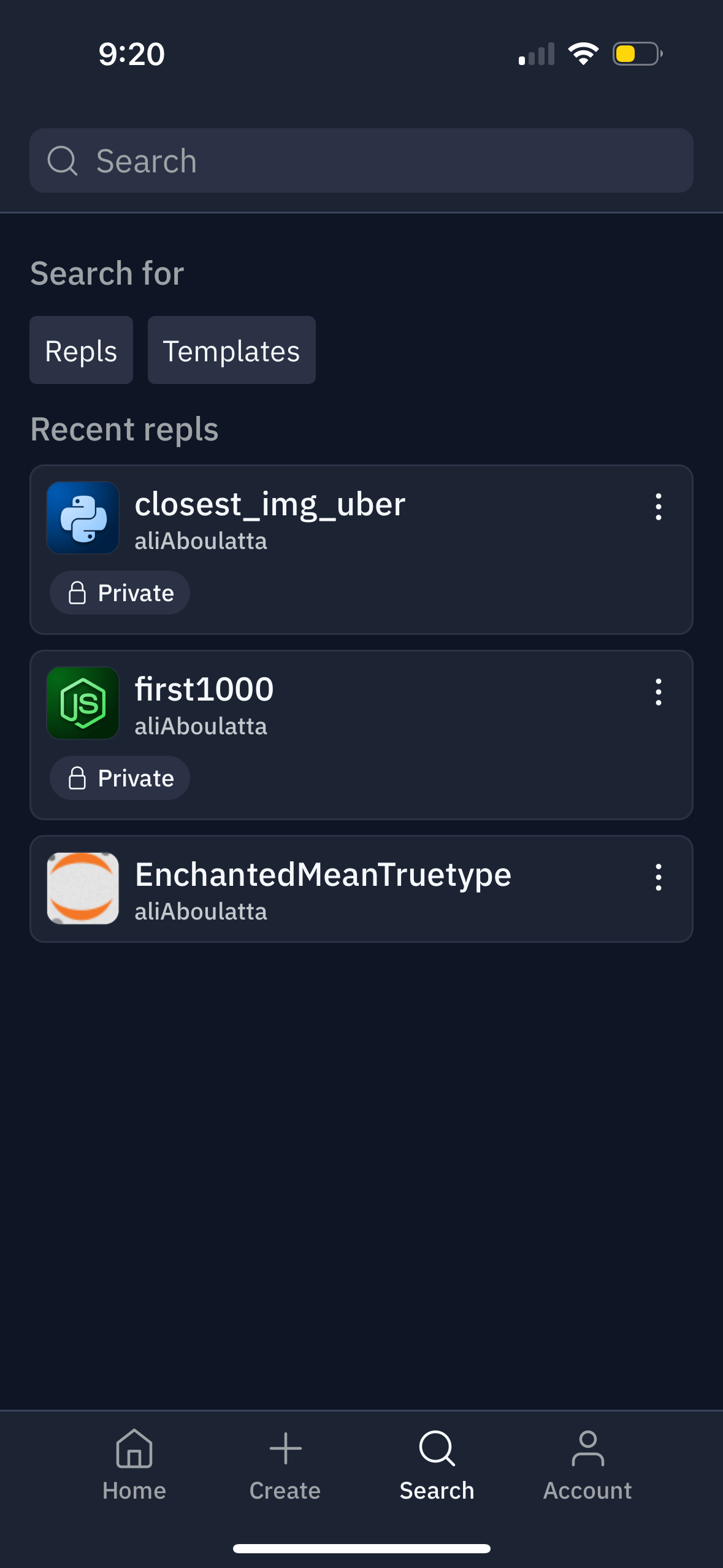 replit app screenshot 59