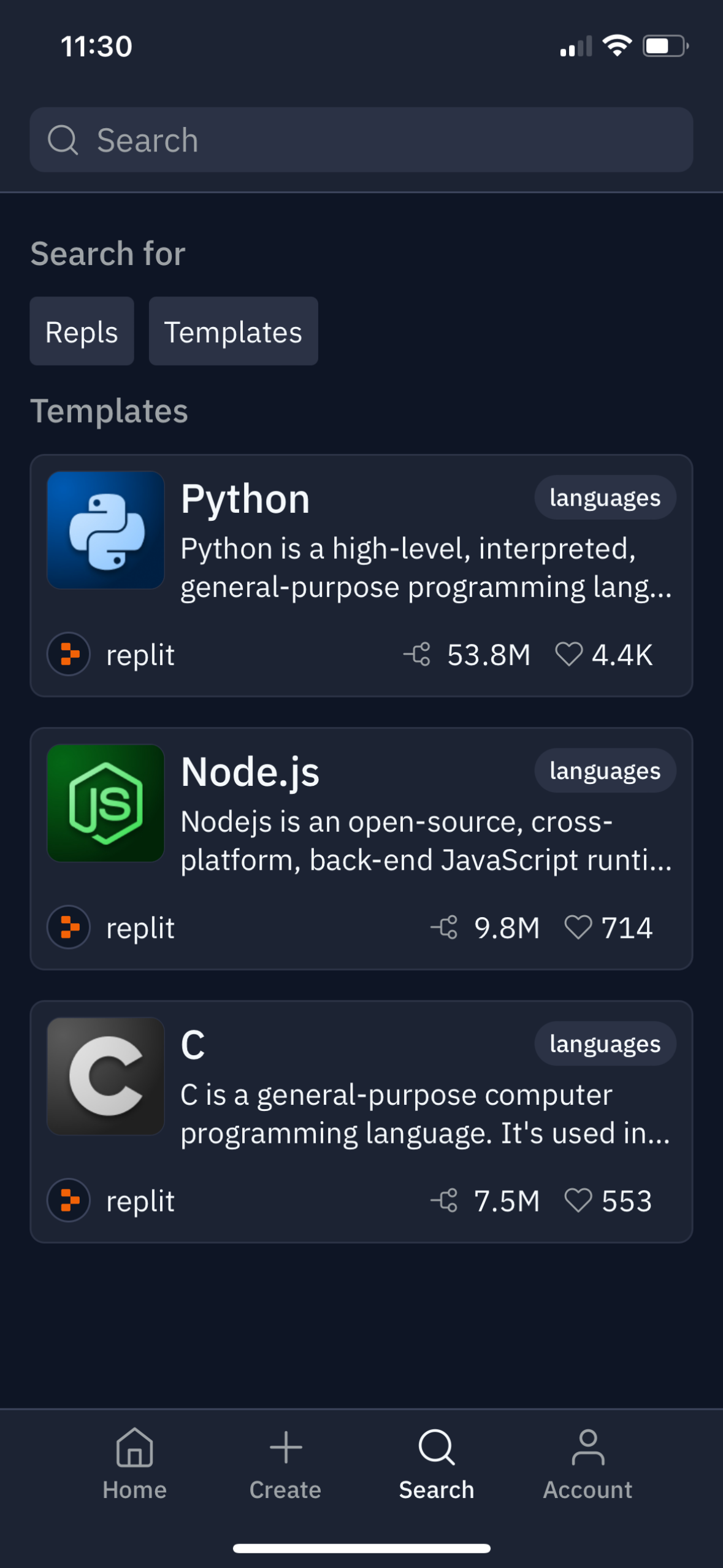 replit app screenshot 43