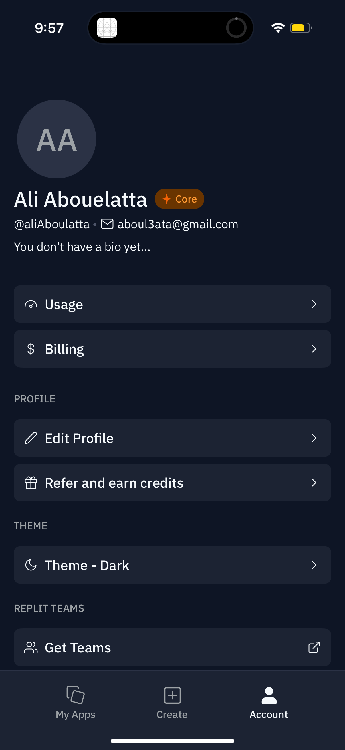 replit app screenshot 12