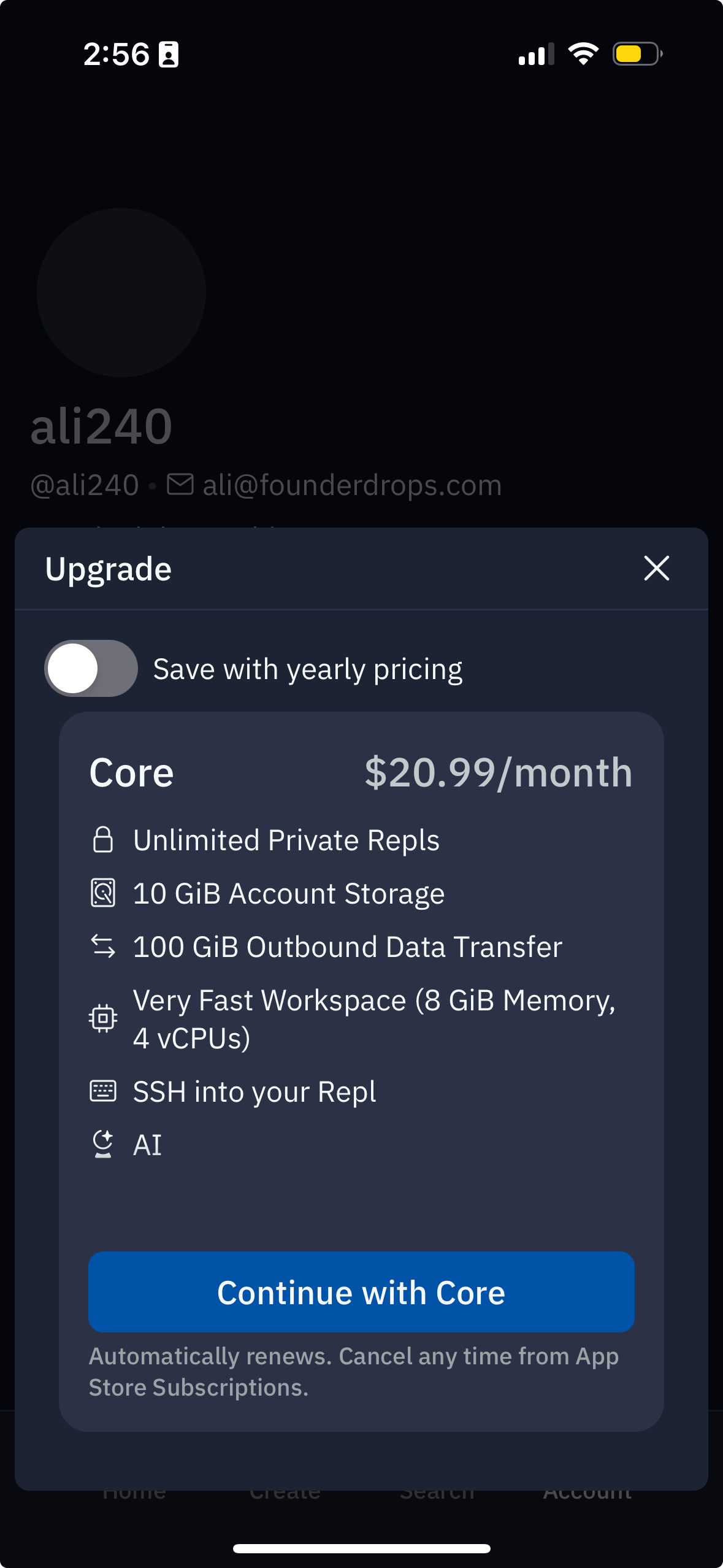 replit app screenshot 10