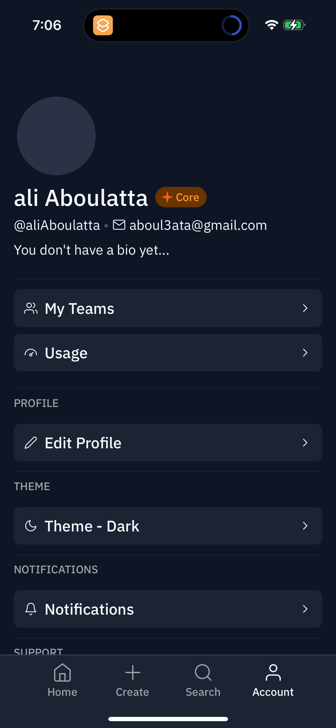 replit app screenshot 41