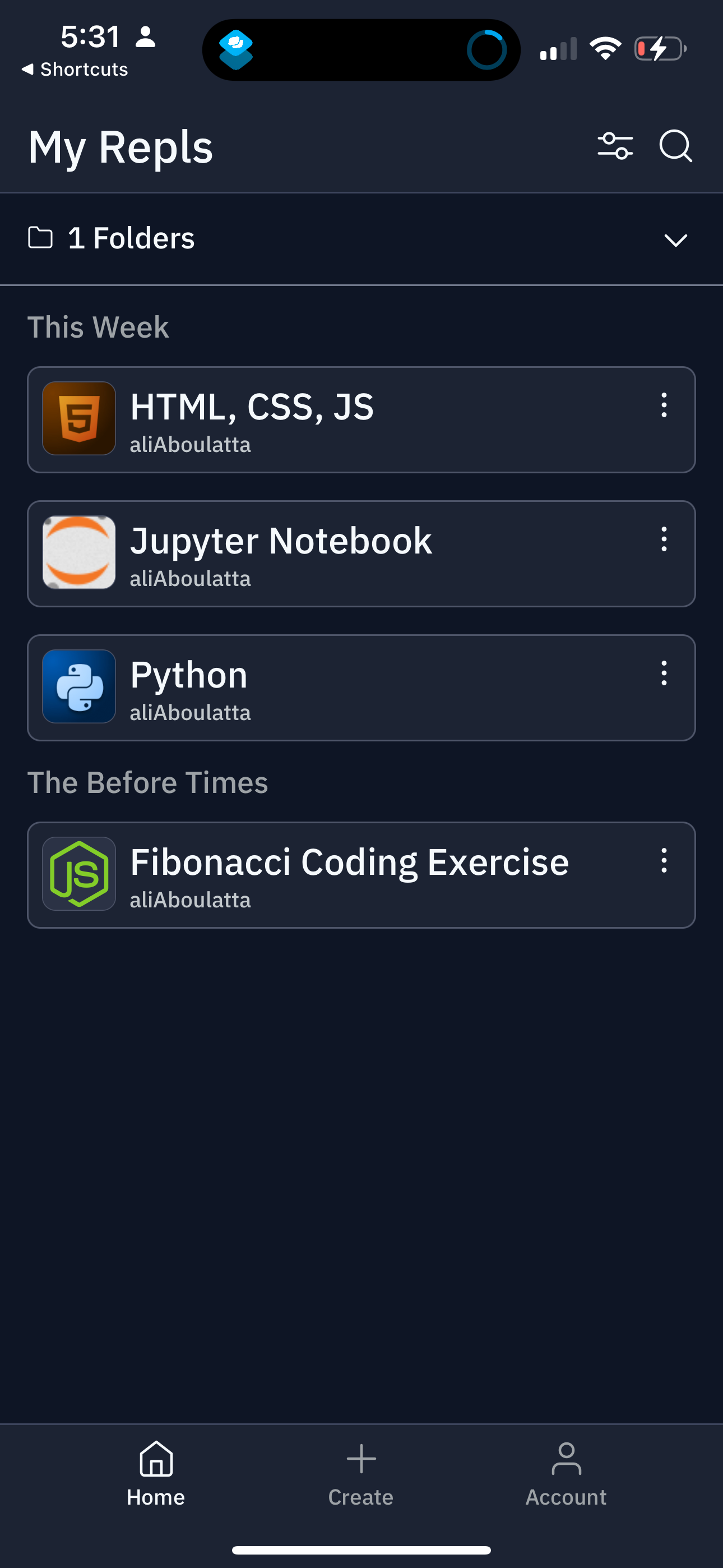 replit app screenshot 146