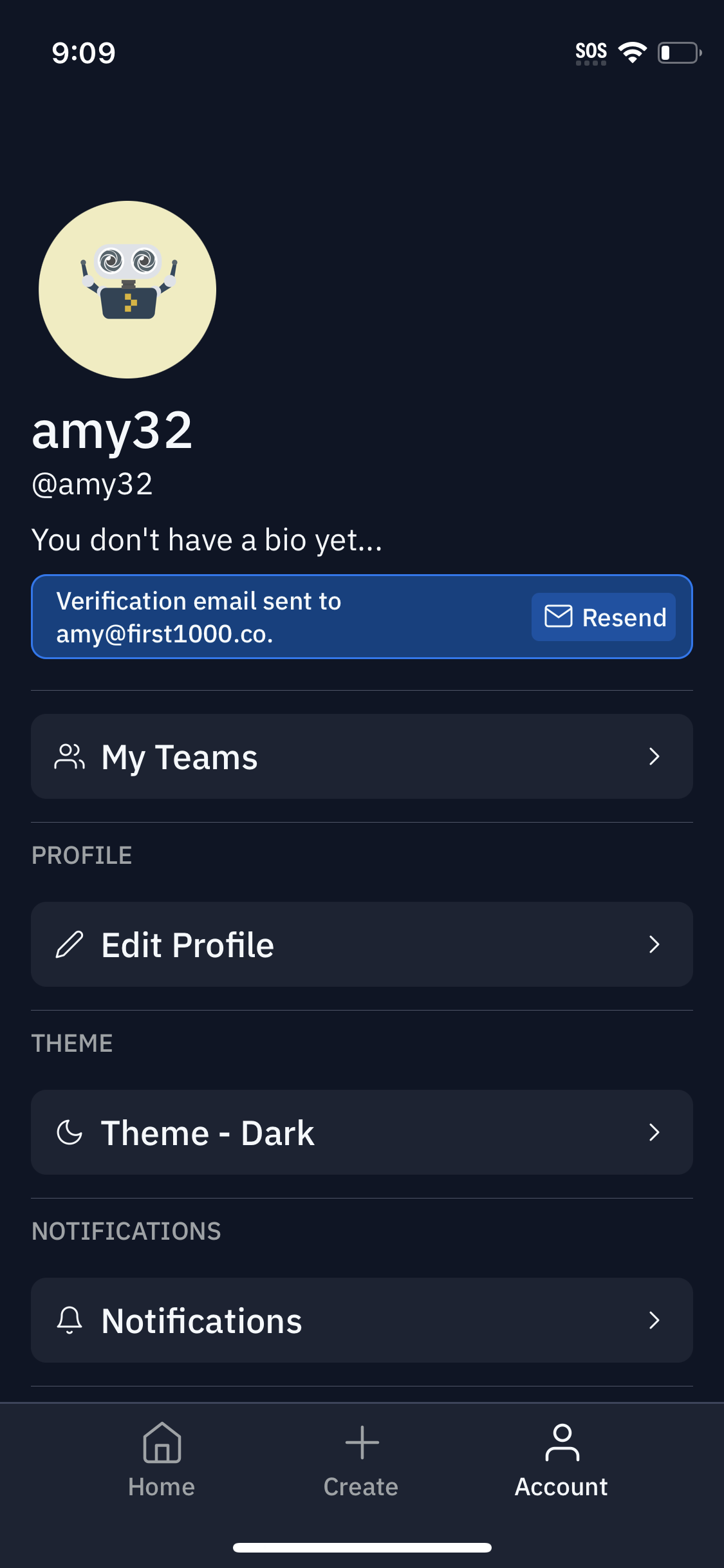 replit app screenshot 135