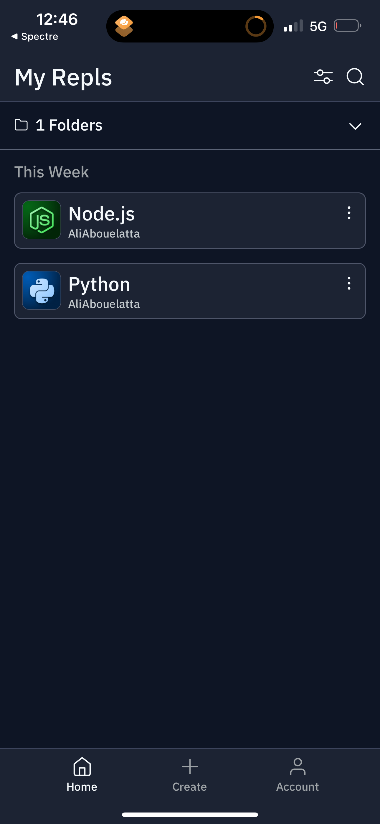 replit app screenshot 133