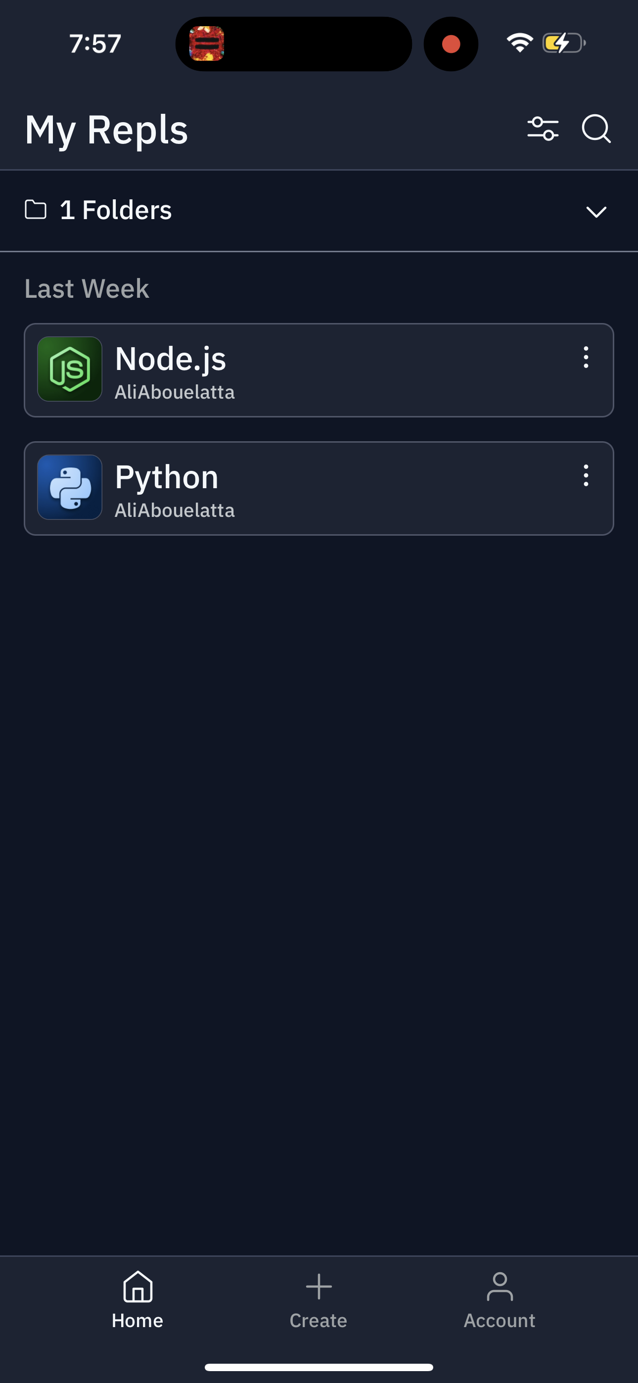 replit app screenshot 131