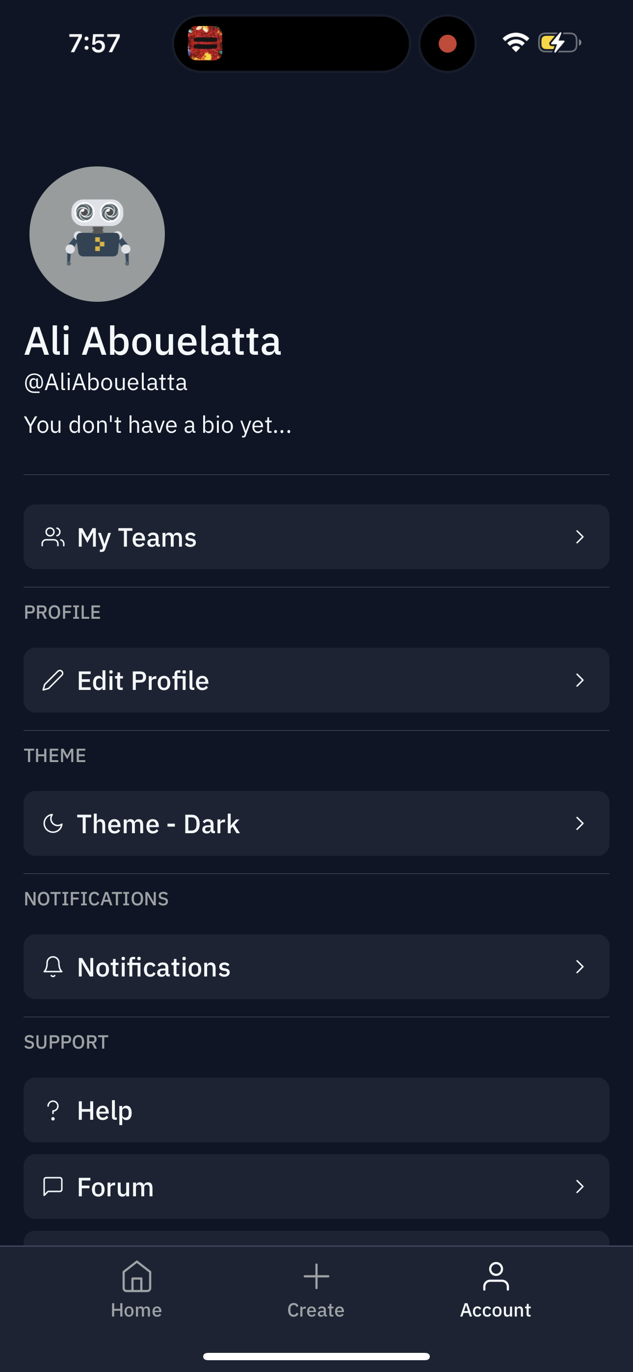 replit app screenshot 129