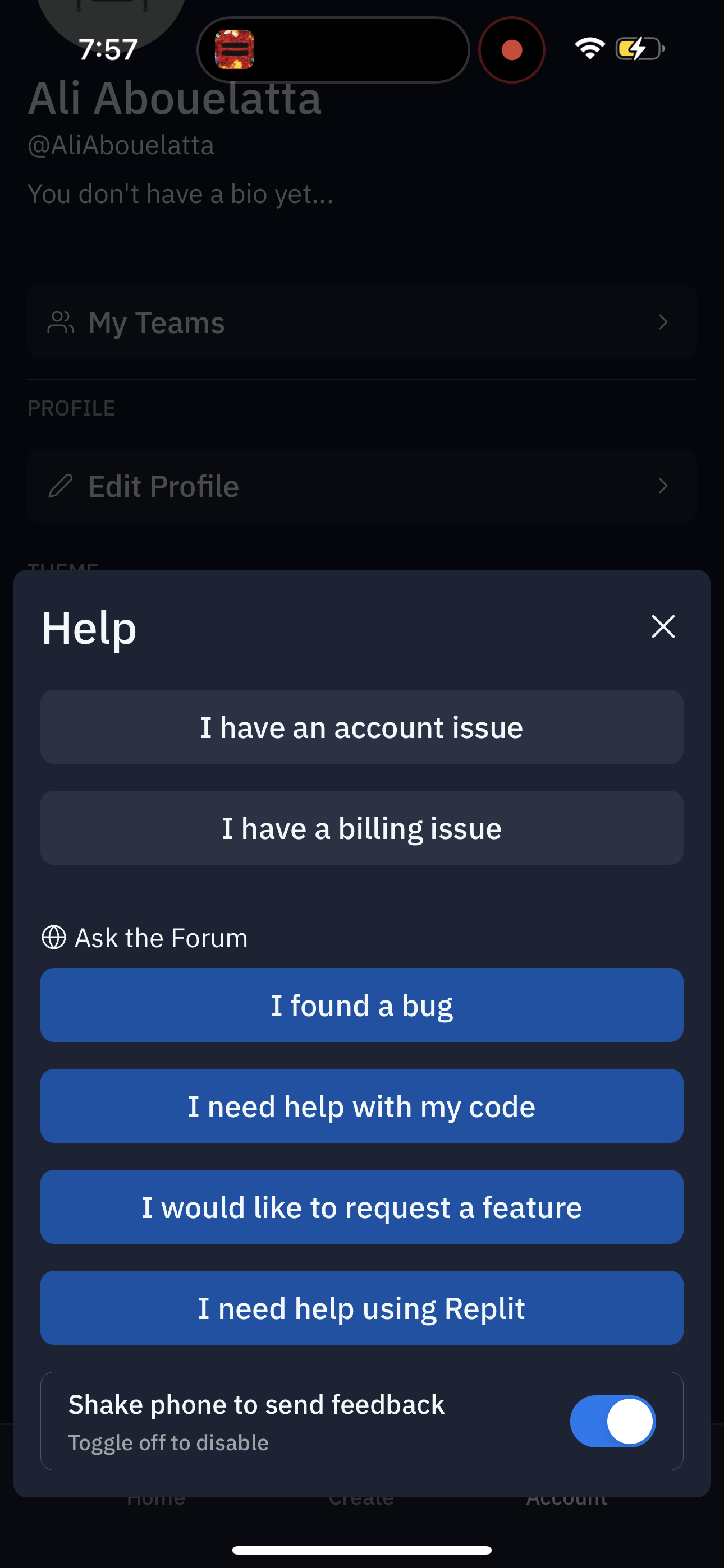 replit app screenshot 128