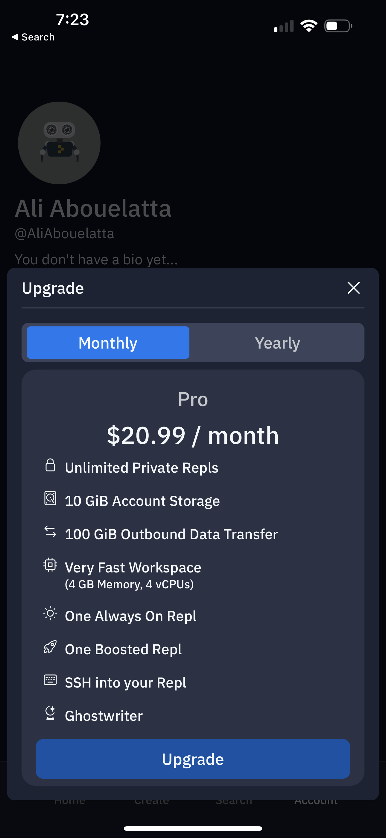 replit app screenshot 120