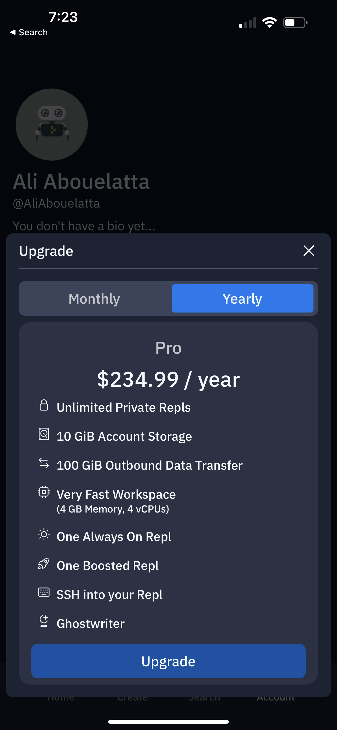 replit app screenshot 119