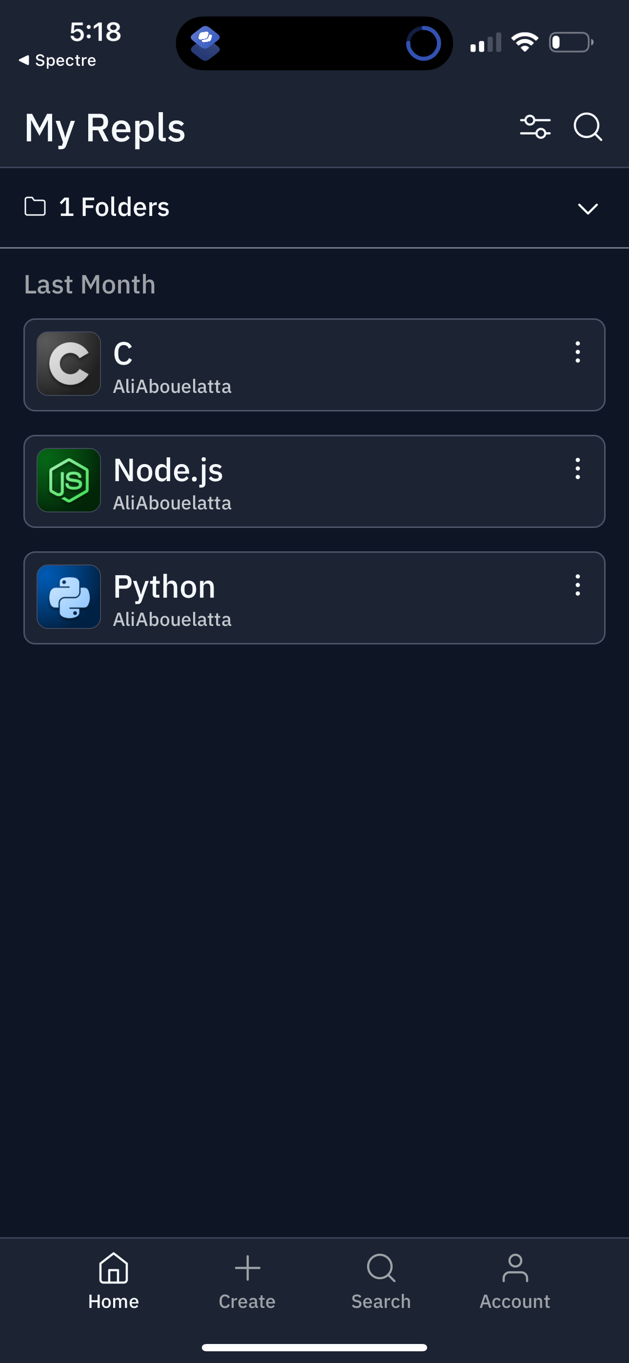 replit app screenshot 118