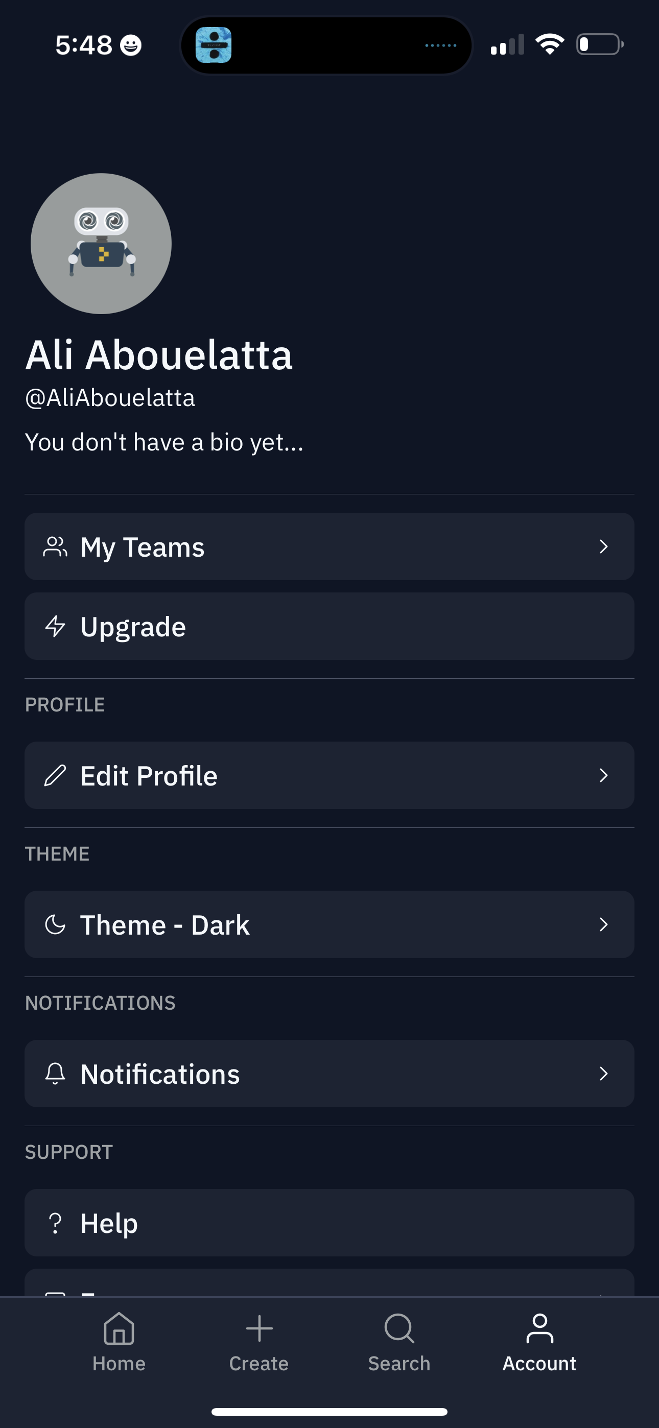 replit app screenshot 115