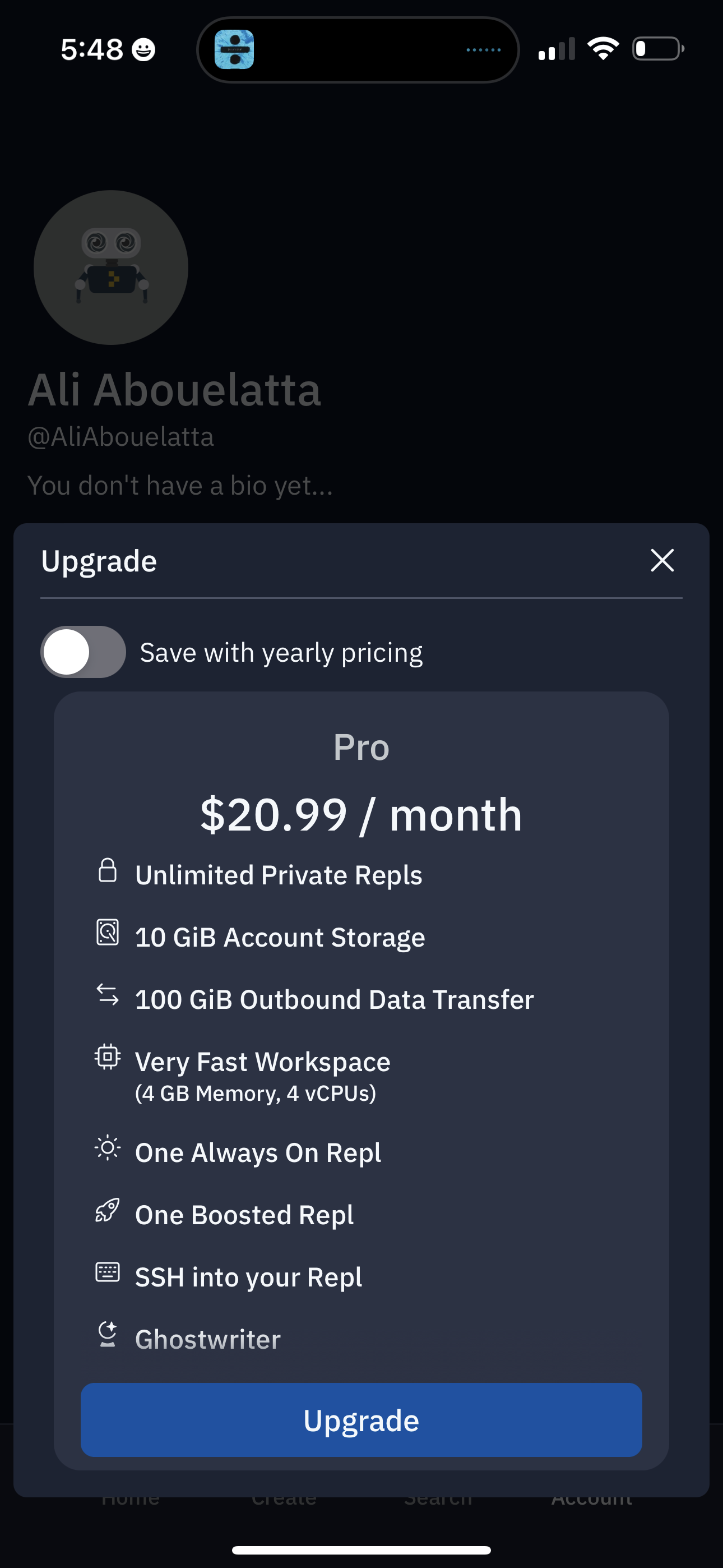 replit app screenshot 114