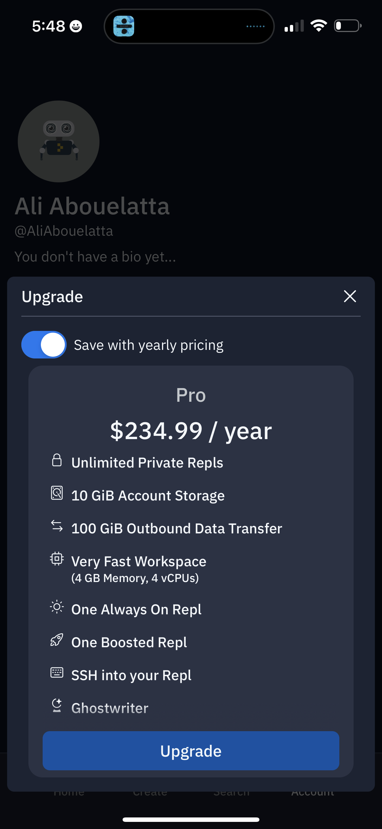 replit app screenshot 113