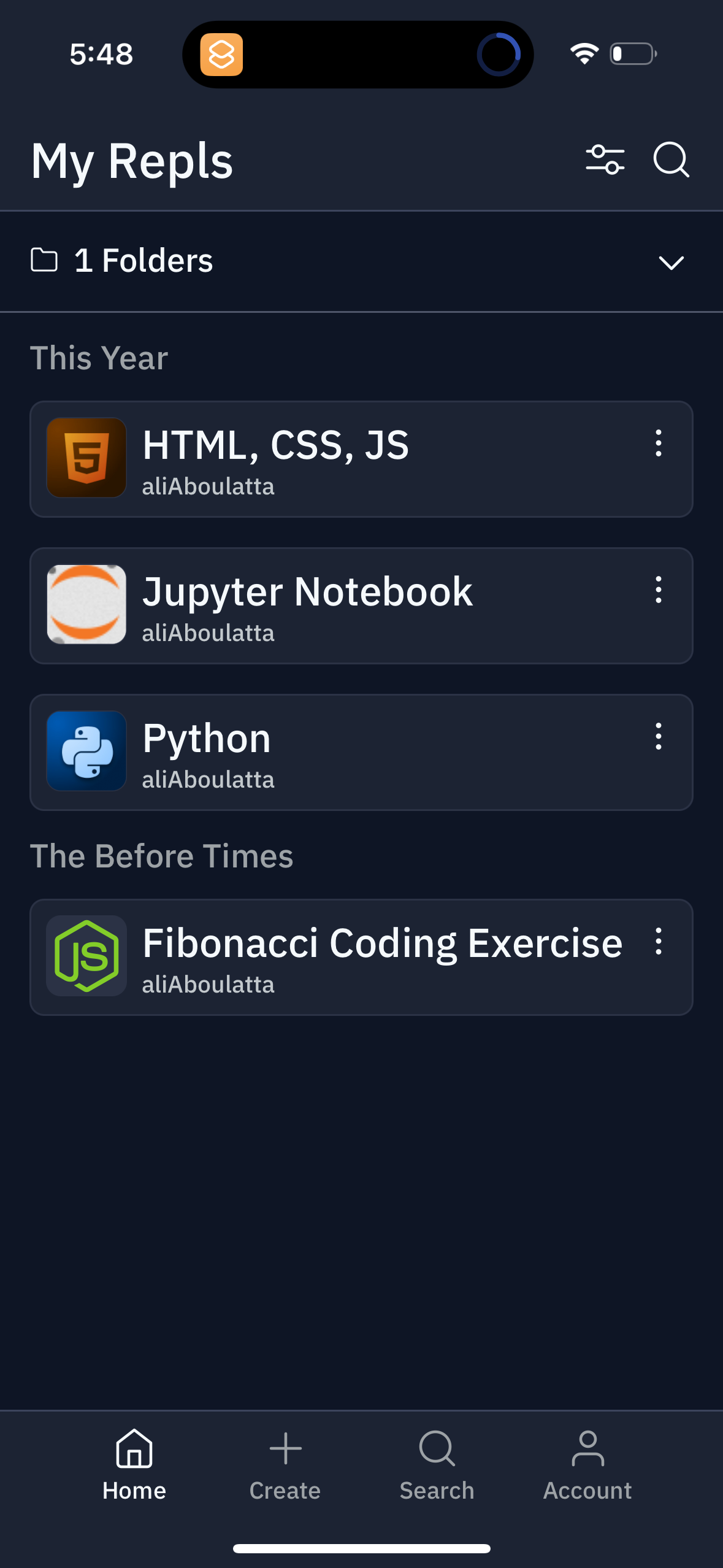 replit app screenshot 104