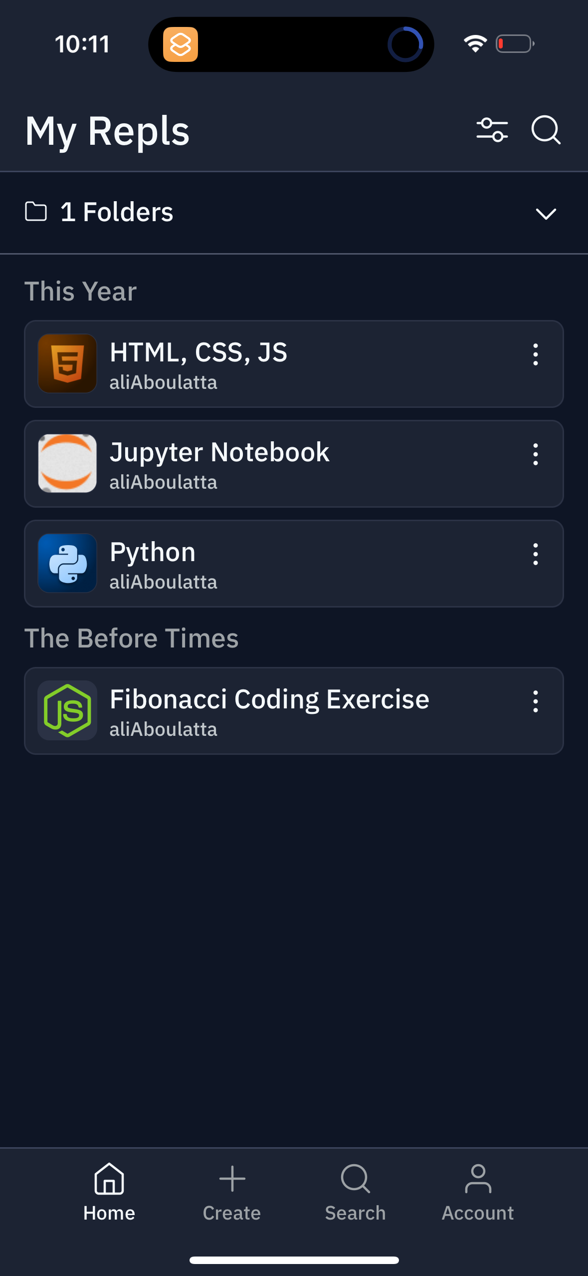 replit app screenshot 102