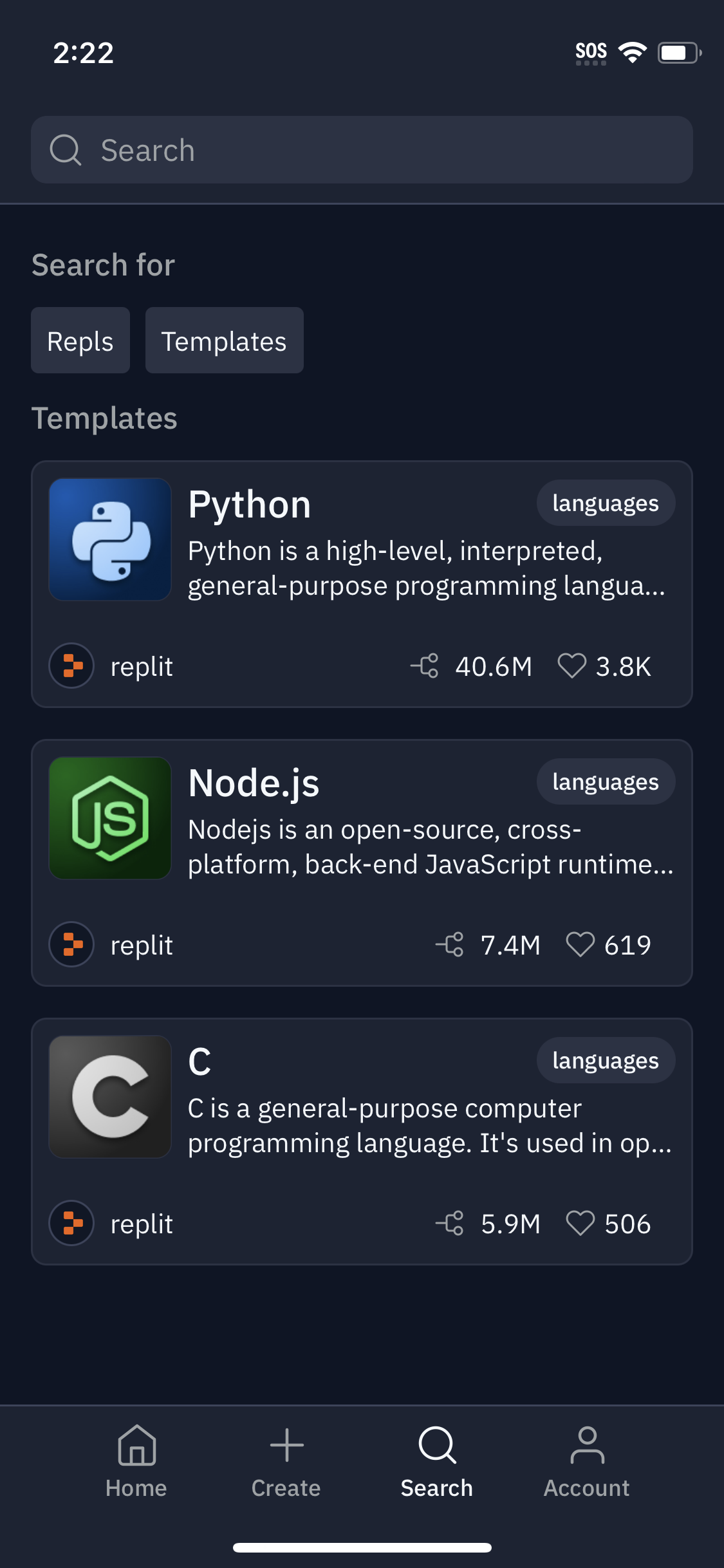replit app screenshot 97