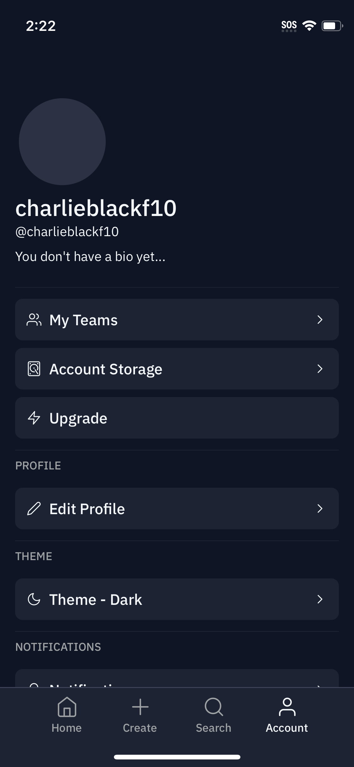 replit app screenshot 96