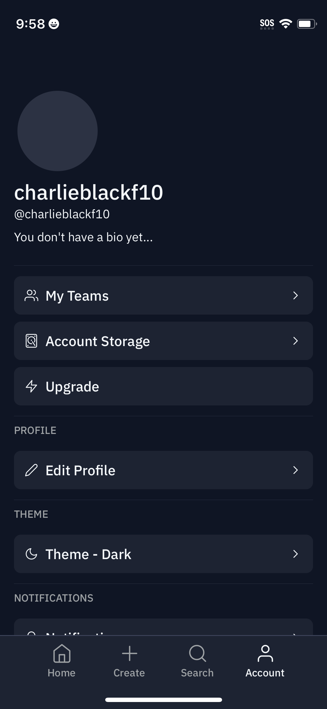 replit app screenshot 91